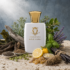 What Does Xerjoff Uden Smell Like? Full Scent Description